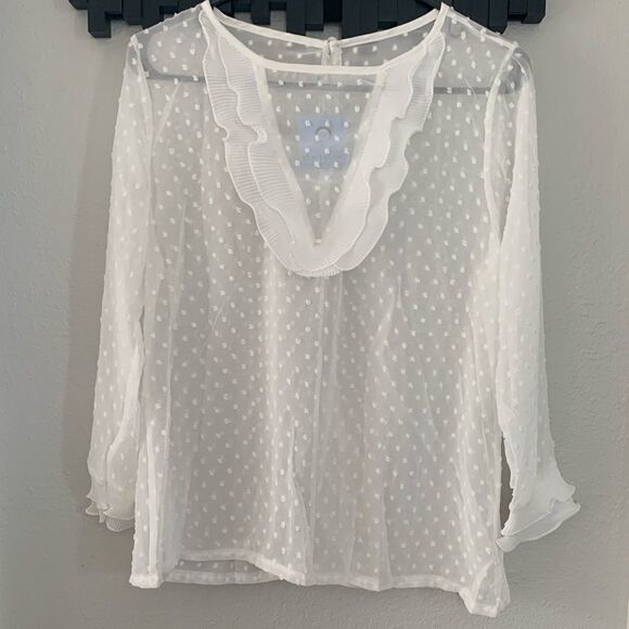 Beautiful Sheer Blouse  - Picture 2 of 7